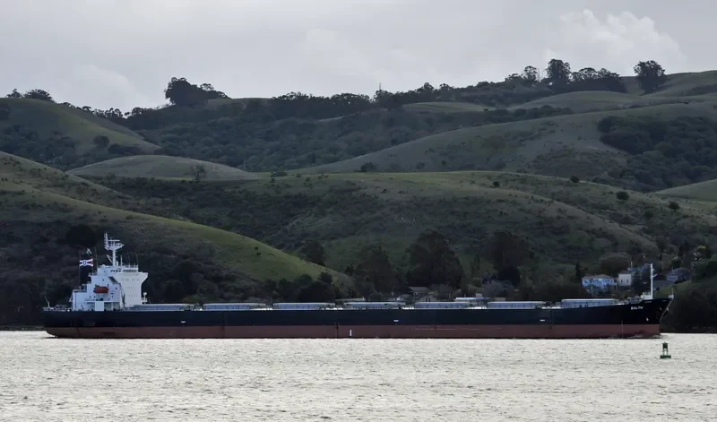 BALTIA Bulk Carrier IMO 9286920 photo 2