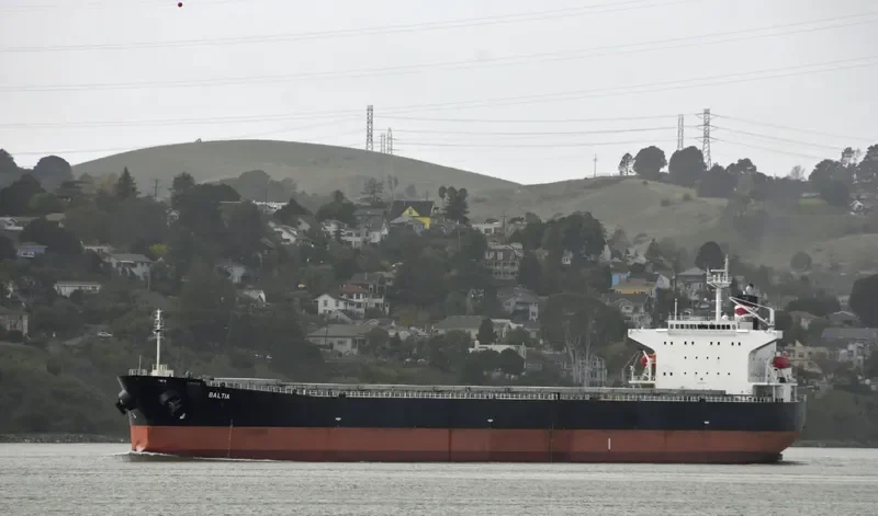 BALTIA Bulk Carrier IMO 9286920 photo 4