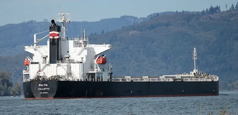BALTIA Bulk Carrier IMO 9286920 photo 5