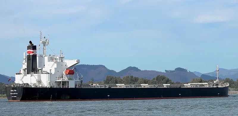 BALTIA Bulk Carrier IMO 9286920 photo 6