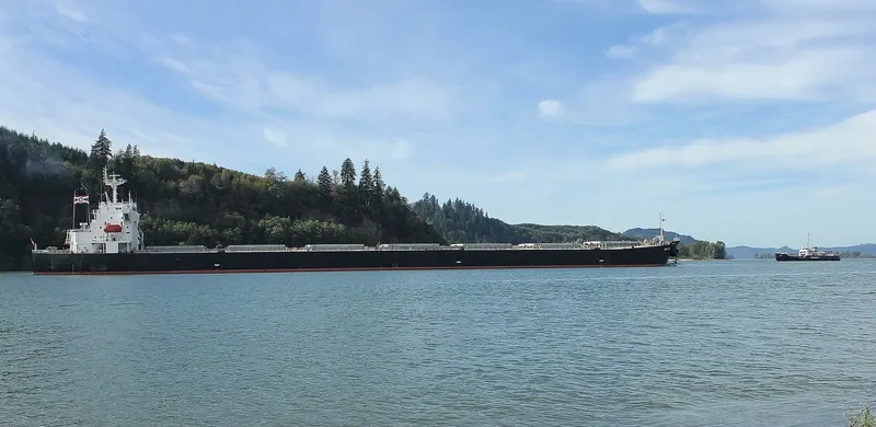 BALTIA Bulk Carrier IMO 9286920 photo 7