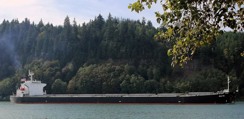 BALTIA Bulk Carrier IMO 9286920 photo 8