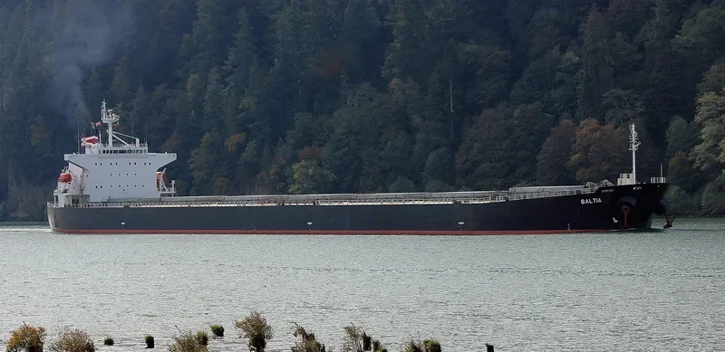 BALTIA Bulk Carrier IMO 9286920 photo 9
