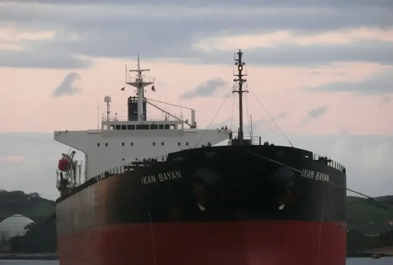 MIYAMA Bulk Carrier IMO 9286932 photo 3
