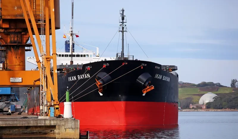 MIYAMA Bulk Carrier IMO 9286932 photo 5