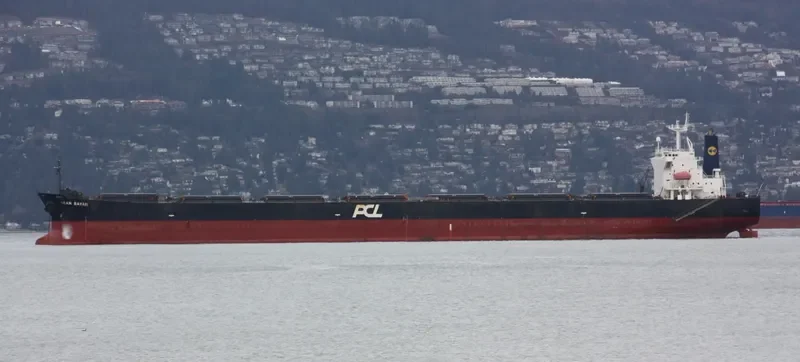 MIYAMA Bulk Carrier IMO 9286932 photo 9