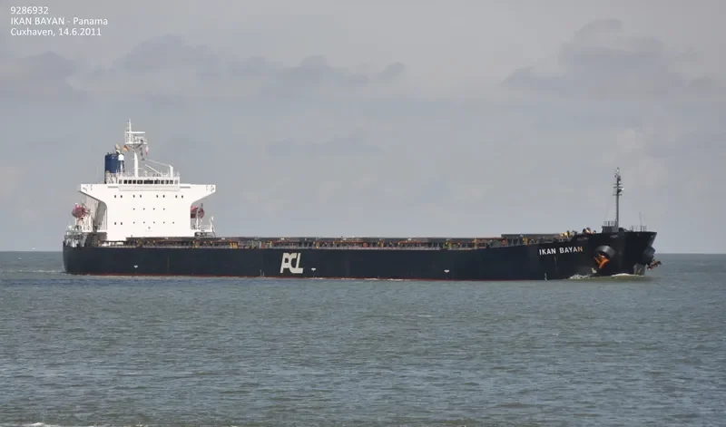 MIYAMA Bulk Carrier IMO 9286932 photo 10