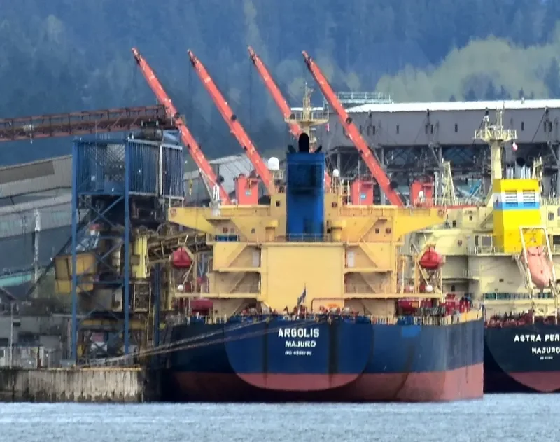 ARGOLIS Bulk Carrier IMO 9286970 photo 5