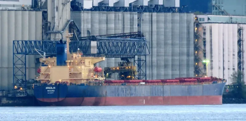 ARGOLIS Bulk Carrier IMO 9286970 photo 6