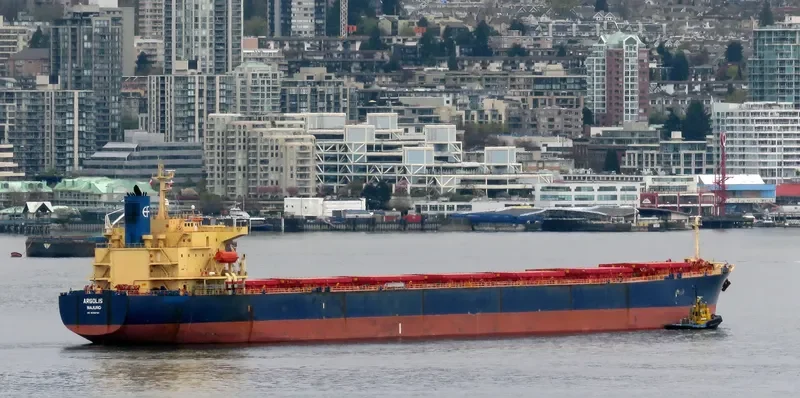ARGOLIS Bulk Carrier IMO 9286970 photo 7