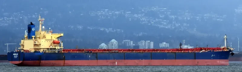 ARGOLIS Bulk Carrier IMO 9286970 photo 8