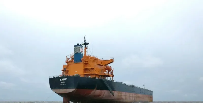 FAME Bulk Carrier IMO 9287132 photo 2