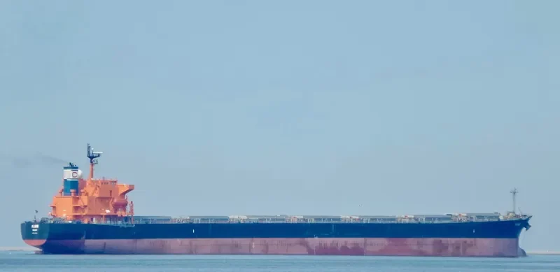 FAME Bulk Carrier IMO 9287132 photo 3