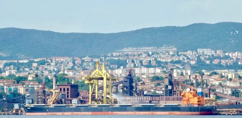 FAME Bulk Carrier IMO 9287132 photo 4