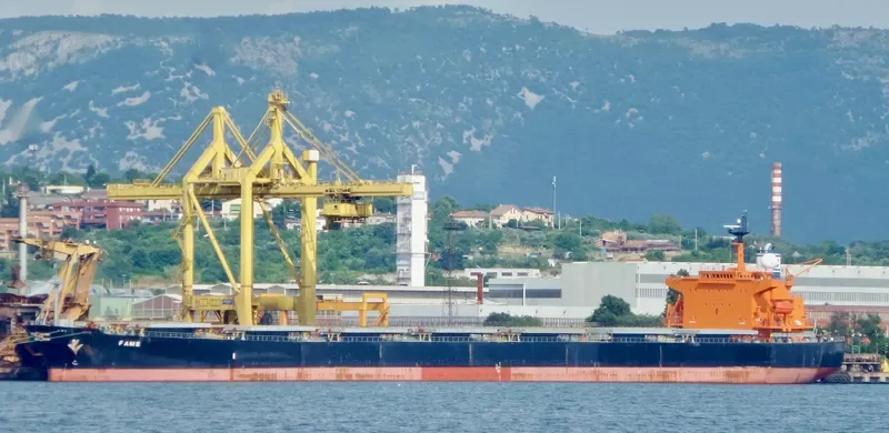 FAME Bulk Carrier IMO 9287132 photo 5