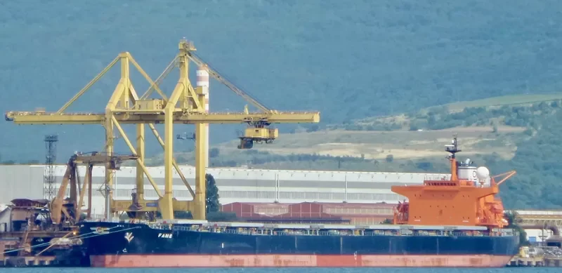 FAME Bulk Carrier IMO 9287132 photo 6