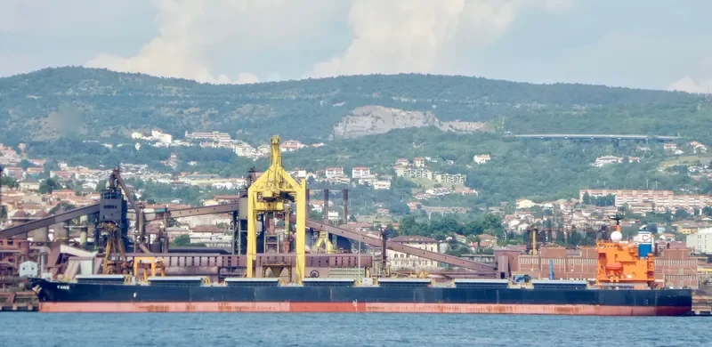 FAME Bulk Carrier IMO 9287132 photo 7