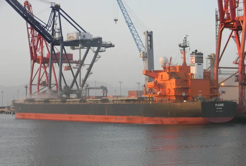 FAME Bulk Carrier IMO 9287132 photo 8