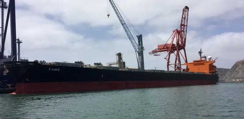 FAME Bulk Carrier IMO 9287132 photo 9