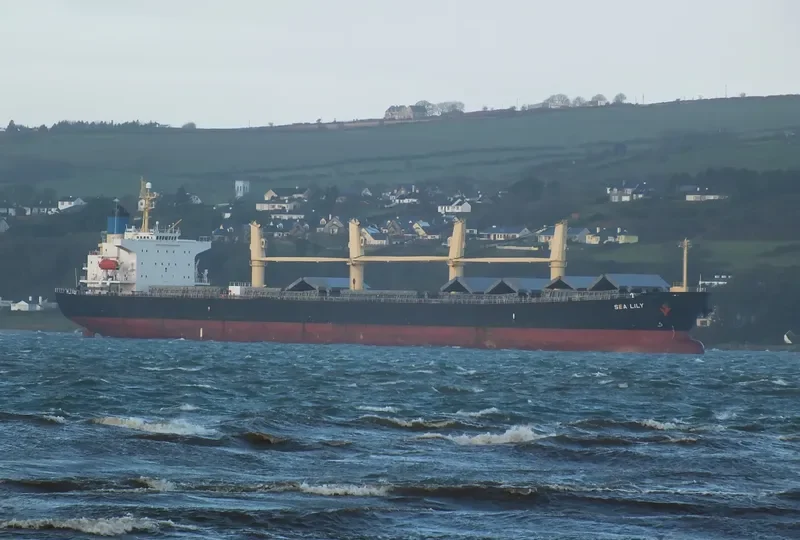 PACIFIC 08 Bulk Carrier IMO 9287144 photo 4