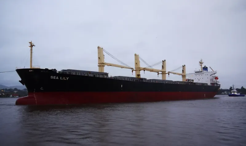 PACIFIC 08 Bulk Carrier IMO 9287144 photo 5