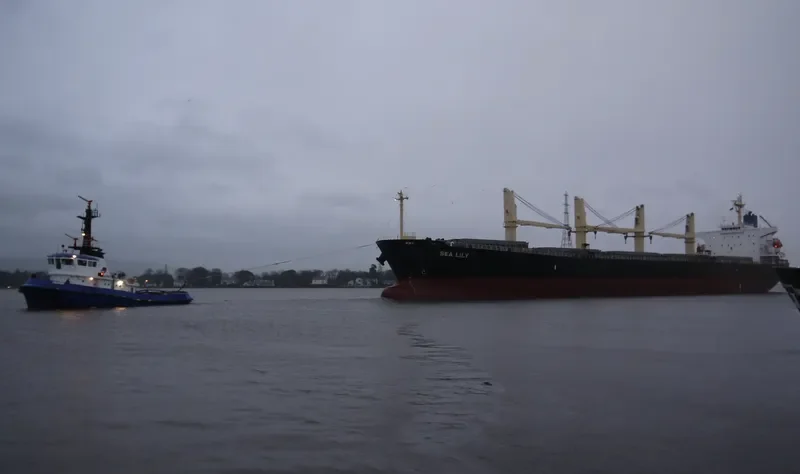 PACIFIC 08 Bulk Carrier IMO 9287144 photo 6