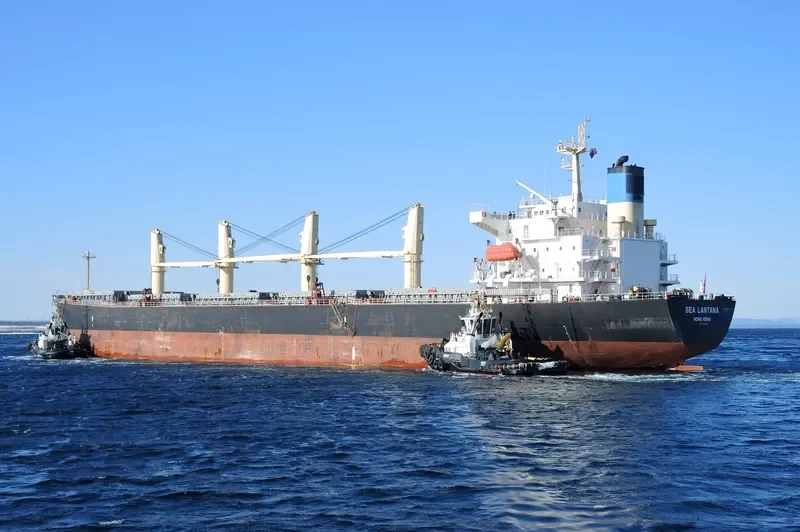 BEST GLORY Bulk Carrier IMO 9287156