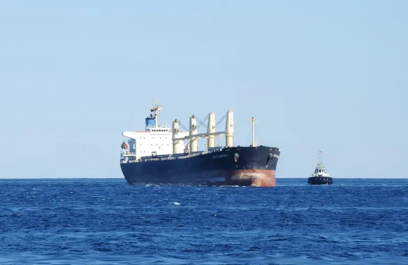 BEST GLORY Bulk Carrier IMO 9287156 photo 3