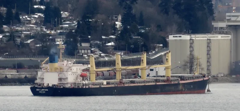 BEST GLORY Bulk Carrier IMO 9287156 photo 4