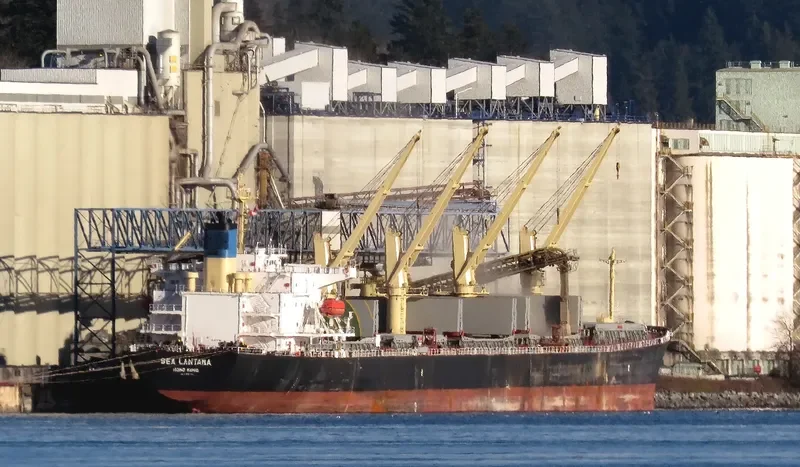 BEST GLORY Bulk Carrier IMO 9287156 photo 6