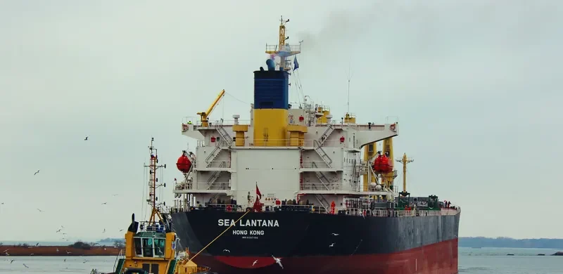 BEST GLORY Bulk Carrier IMO 9287156 photo 7