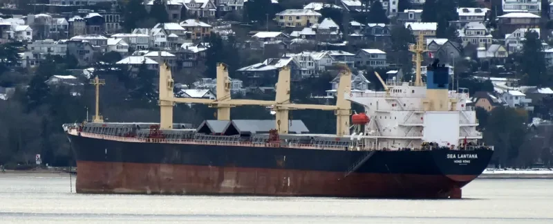 BEST GLORY Bulk Carrier IMO 9287156 photo 8