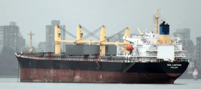 BEST GLORY Bulk Carrier IMO 9287156 photo 9