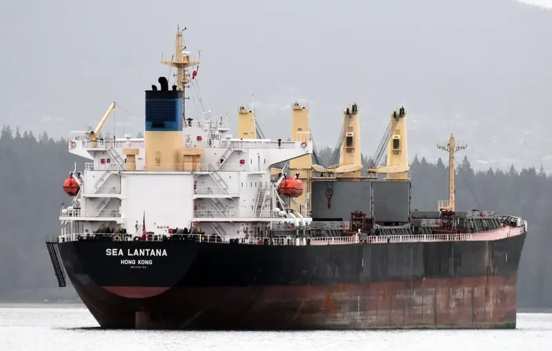 BEST GLORY Bulk Carrier IMO 9287156 photo 10