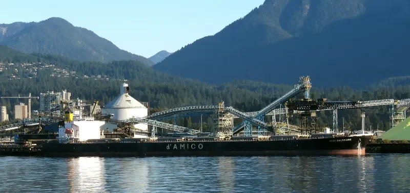 LUCKY LOONG Bulk Carrier IMO 9287168