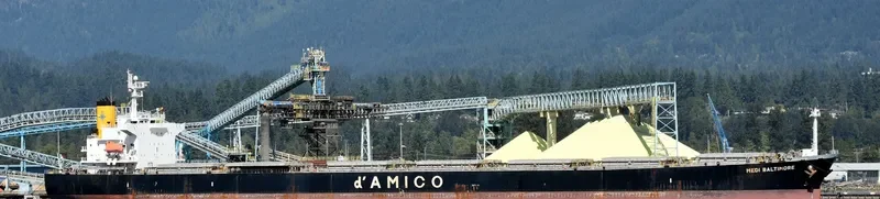 LUCKY LOONG Bulk Carrier IMO 9287168 photo 2