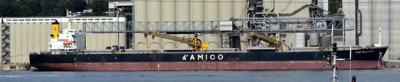 LUCKY LOONG Bulk Carrier IMO 9287168 photo 4
