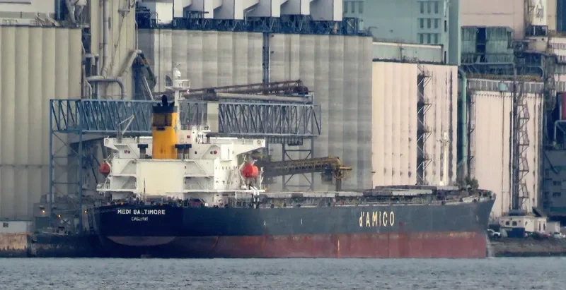 LUCKY LOONG Bulk Carrier IMO 9287168 photo 6