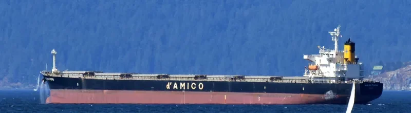 LUCKY LOONG Bulk Carrier IMO 9287168 photo 7