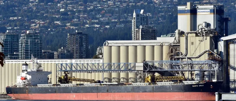 SANTA CRUZ Bulk Carrier IMO 9287170