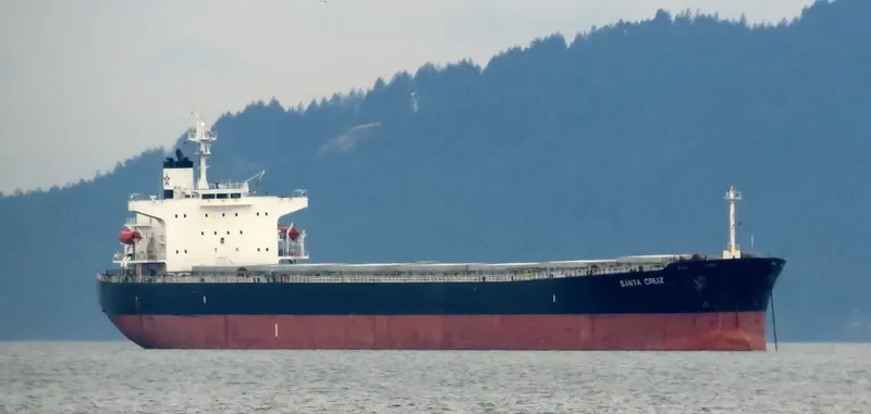 SANTA CRUZ Bulk Carrier IMO 9287170 photo 4