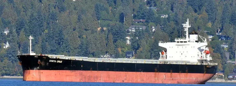 SANTA CRUZ Bulk Carrier IMO 9287170 photo 5
