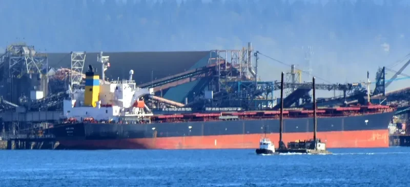 JUPITER Bulk Carrier IMO 9287194 photo 5