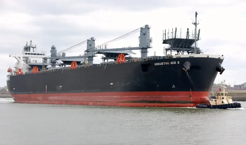 FP ACE III Bulk Carrier IMO 9287211 photo 5