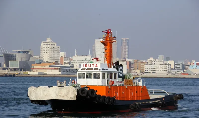 IKUTA MARU General Cargo IMO 9287285 photo 2