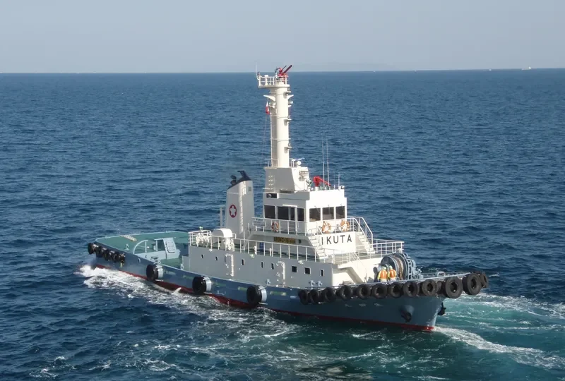 IKUTA MARU General Cargo IMO 9287285 photo 3