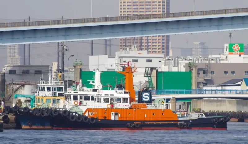 IKUTA MARU General Cargo IMO 9287285 photo 6