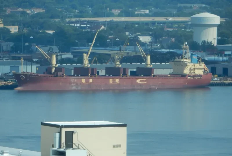 UBC STAVANGER Bulk Carrier IMO 9287340 photo 3