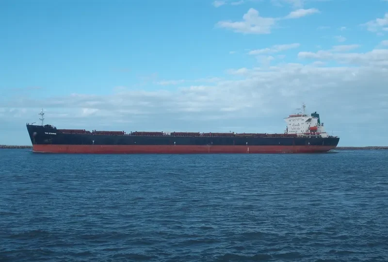 THE STRONG Bulk Carrier IMO 9287455 photo 2