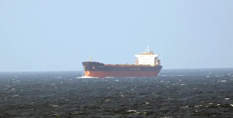THE STRONG Bulk Carrier IMO 9287455 photo 6